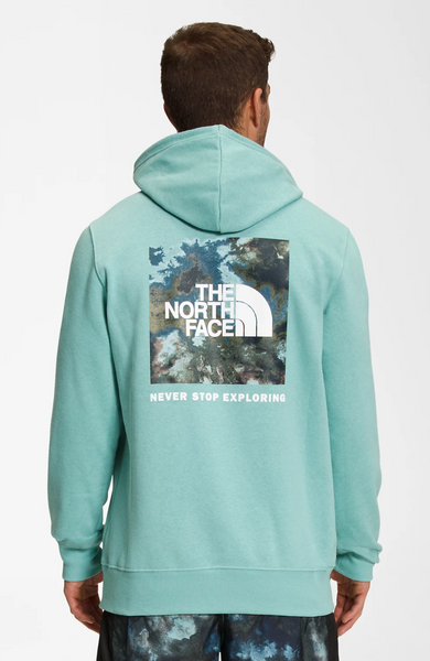 The North Face Printed Box NSE Hoodie