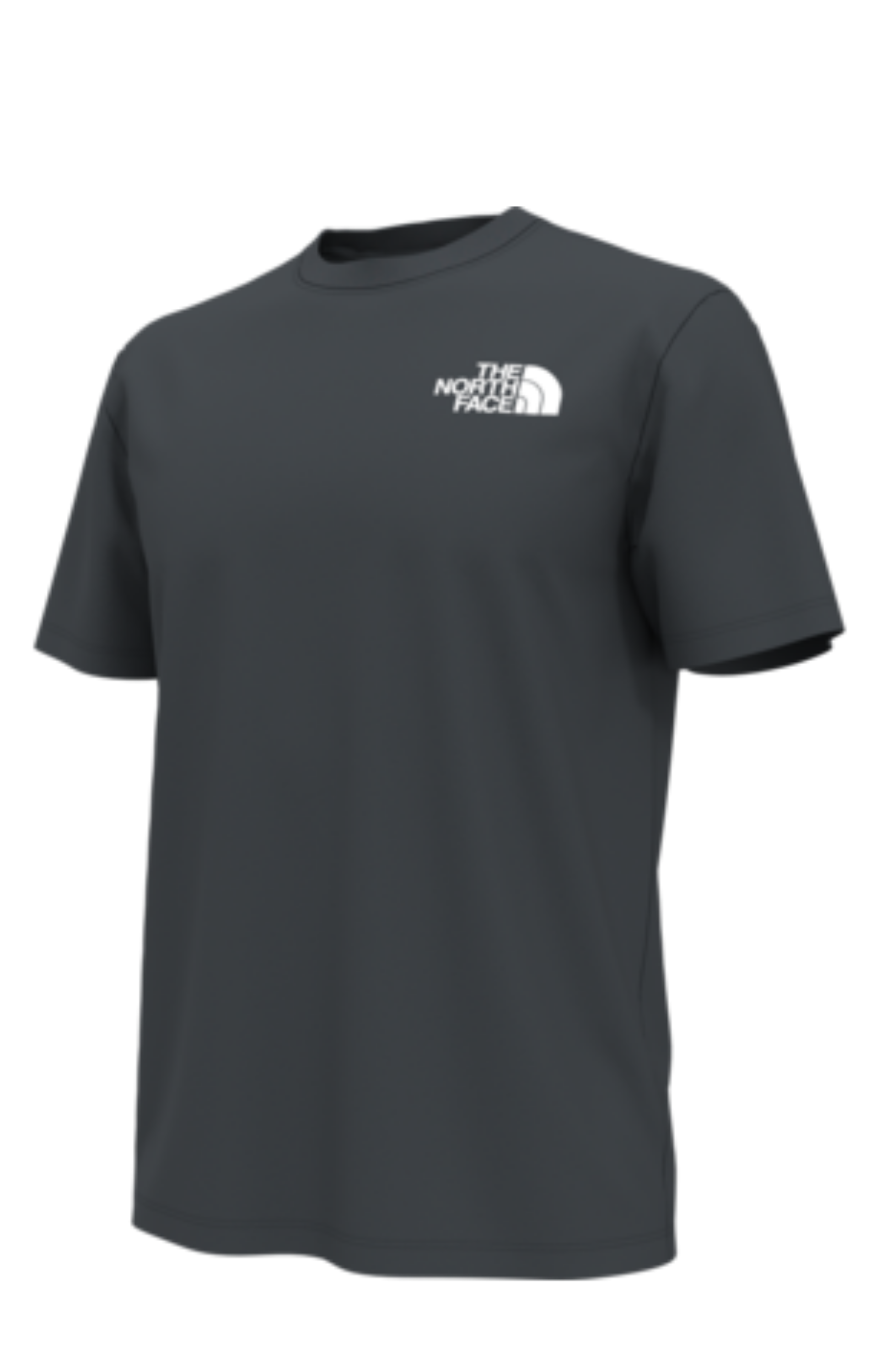 THE NORTH FACE - Men's regular T-shirt with contrasting logo